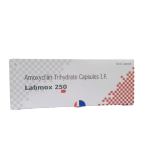 Labmox 250 10 CAPSULES