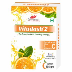 Vitadash Z Powder 105 GM
