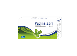 PUDINA COM 10 SOFTGEL